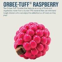 - Raspberry-Small Dogs DISCONTINUED PRODUCT Dog toys Planet Dog