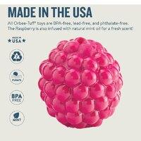 - Raspberry-Small Dogs DISCONTINUED PRODUCT Dog toys Planet Dog