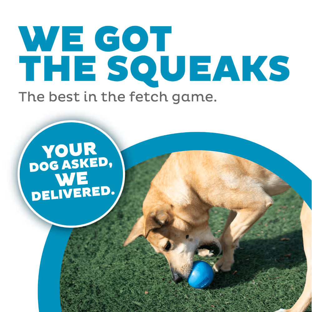 Orbee-Tuff Squeak 7.6cm