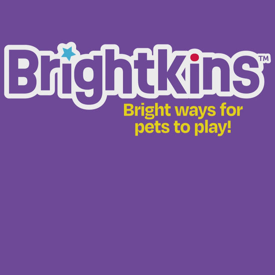 Brightkins Surprise Party! Dog Treat & Food Interactive Puzzle Toy Interactive dog puzzle Hunger for words