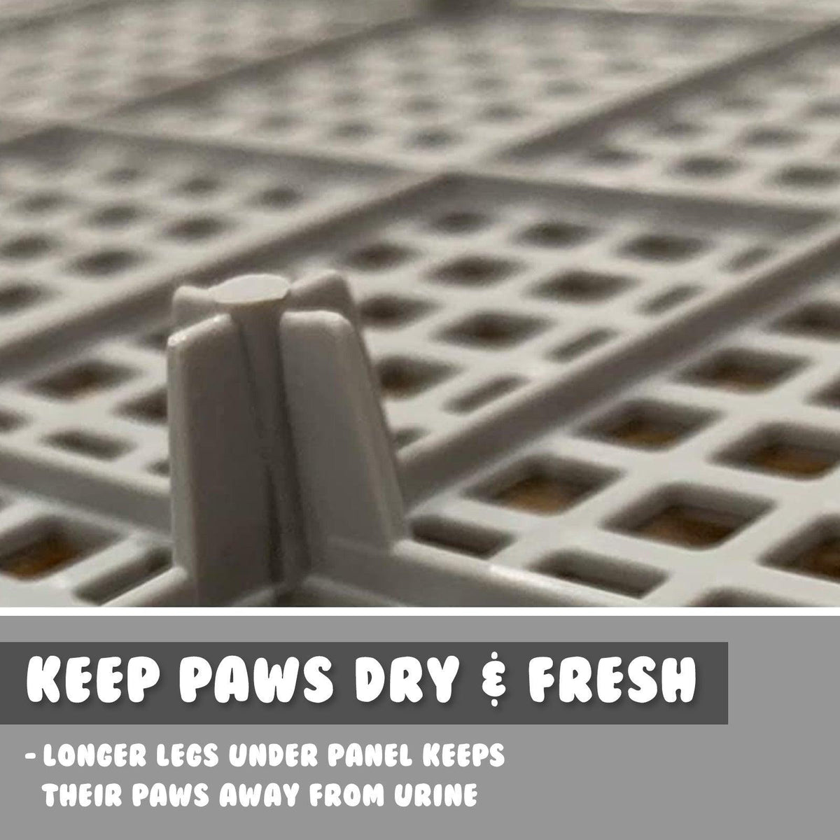 PS KOREA Grey Dog Pet Potty Tray Training Toilet Raised Walls T1 Pet Supplies PS KOREA
