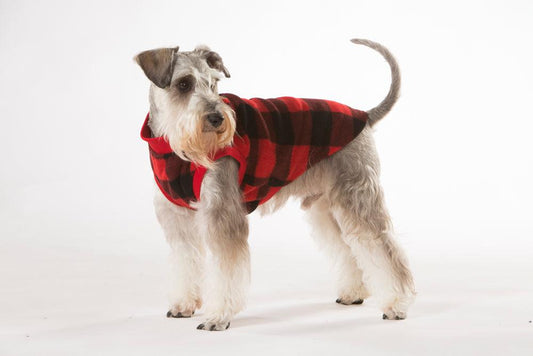 Hamish McBeth Red Check Dog Pyjamas 35cm Pet Care > Dog Supplies Hamish McBeth