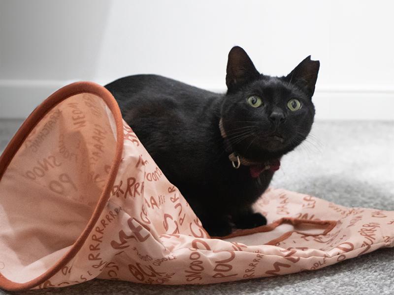 Rosewood Battersea Peek-A-Boo Sack Cat toy Rosewood
