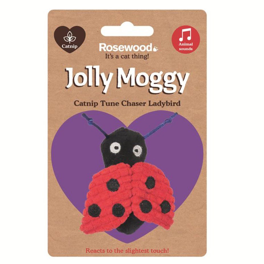 Rosewood Catnip Tune Chaser Bird catnip cat toy motion activated Rosewood Ladybug