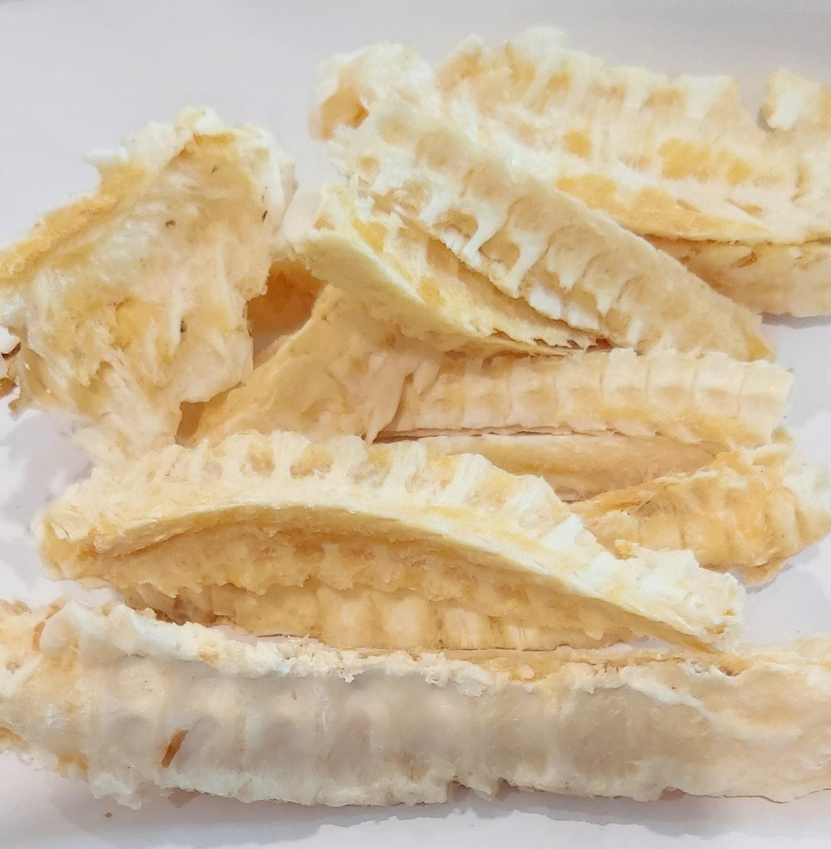 Shark Cartilage Woofy and Whiskers S/M