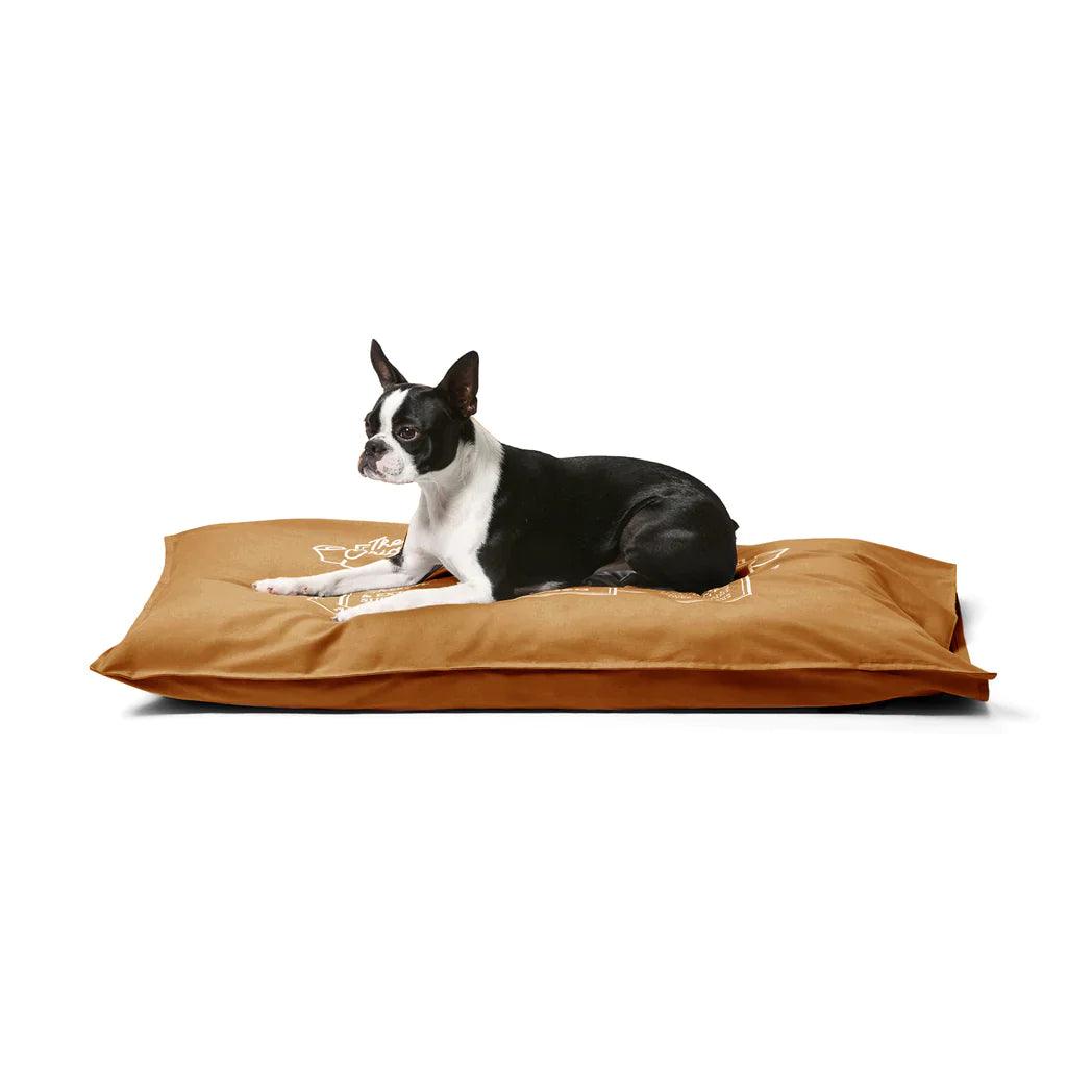 Snooza – Summer Cotton Canvas Pet Futon – Caramel - Mighty - Original dog bed Snooza