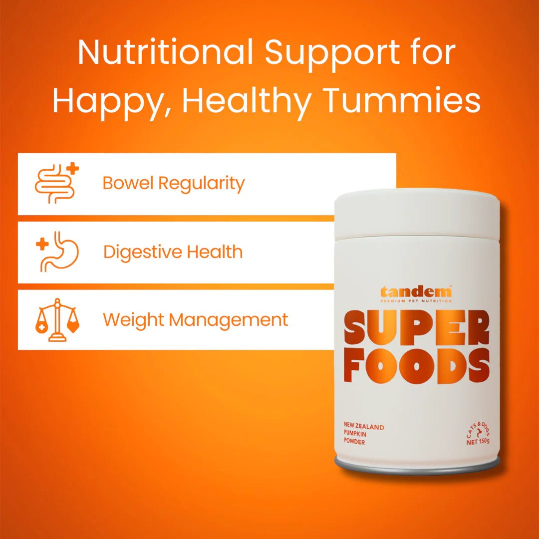 Tandem – Super Foods – New Zealand Pumpkin Powder tandem