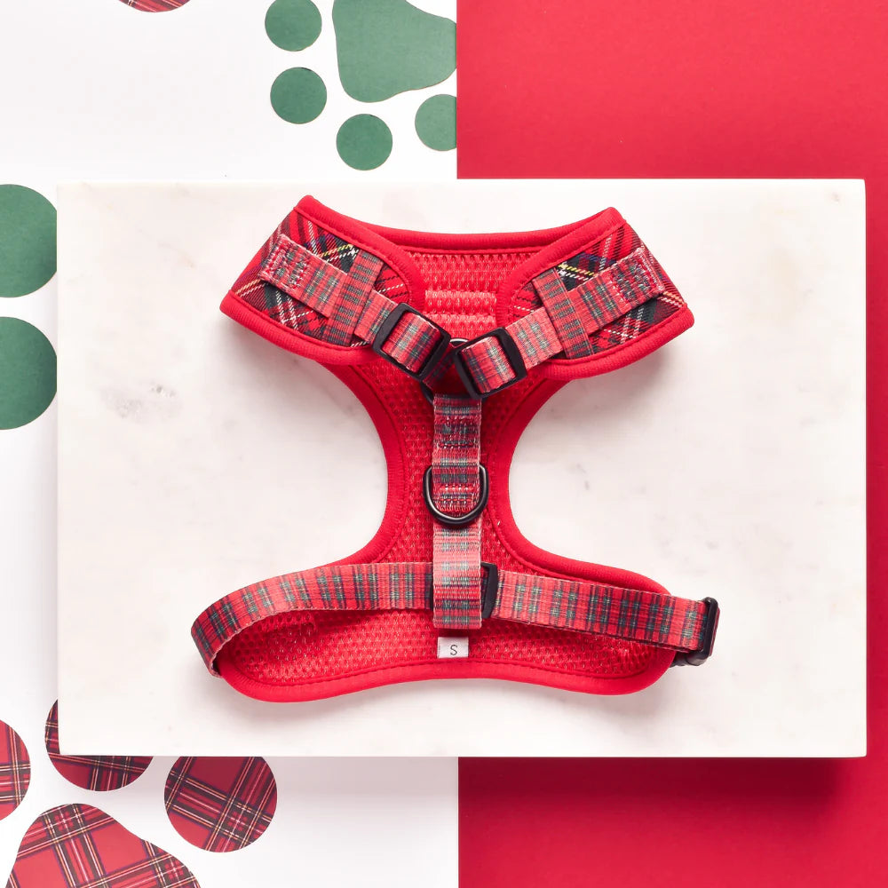 Cocopup Tartan Dog Collection Cocopup London Harness XS