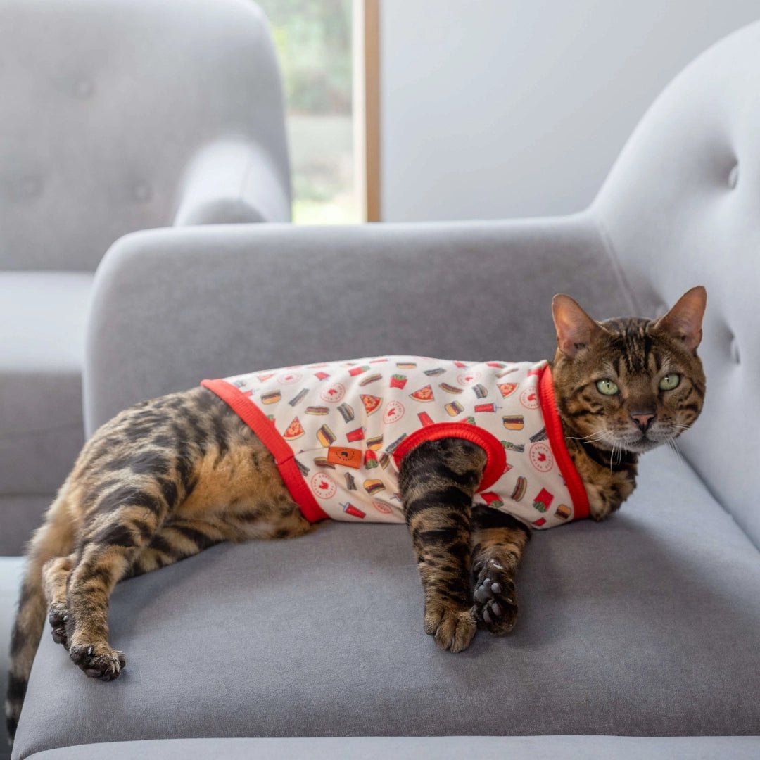Tasty Threads: Delicious Burger T-Shirt For Your Kitten cat clothing The furry fox