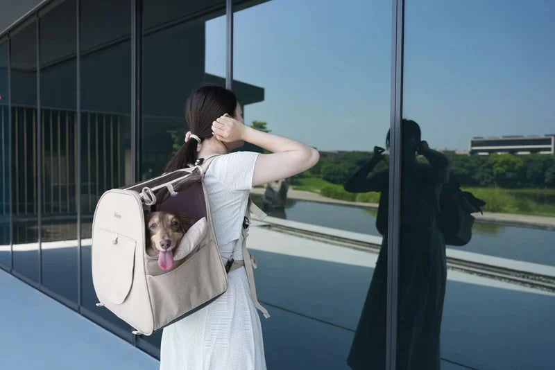 Woman holding a pet carrier with a dog inside, standing in front of a reflective glass building.
