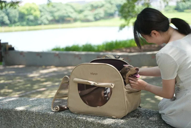 Person opening a pet carrier with a dog inside, outdoors by a lake.