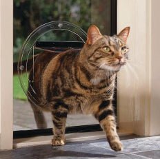 Transcat Clear Dog Door - Cat Door - Large Pet Door Transcat Small