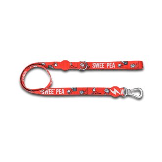 Vintage & Classy Sweet Pea - Small-Medium-Large Dog Collar DASHI Sweet Pea Leash Medium