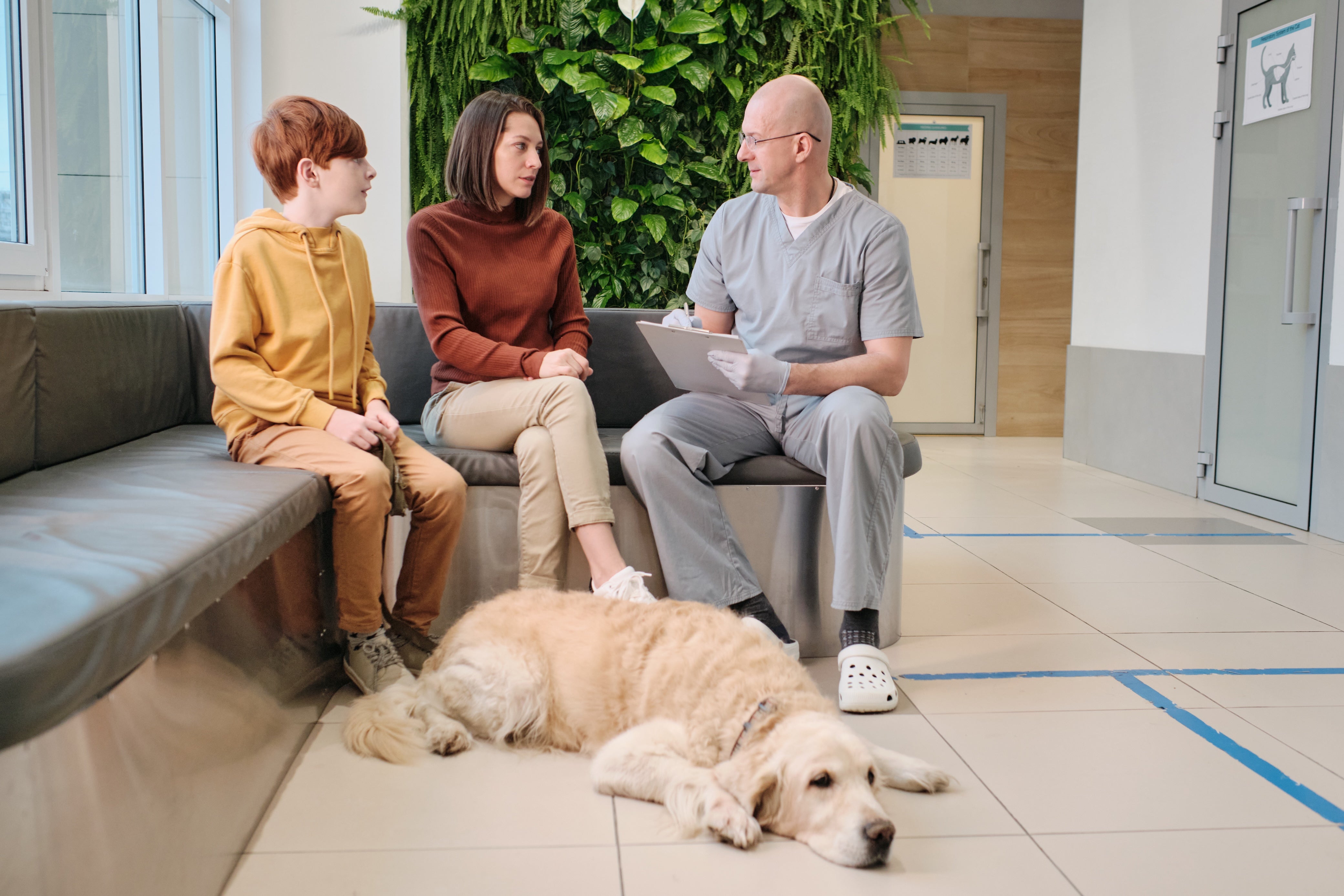Petcare vet Visits Canberra Petcare Vet Visits Woofy and Whiskers