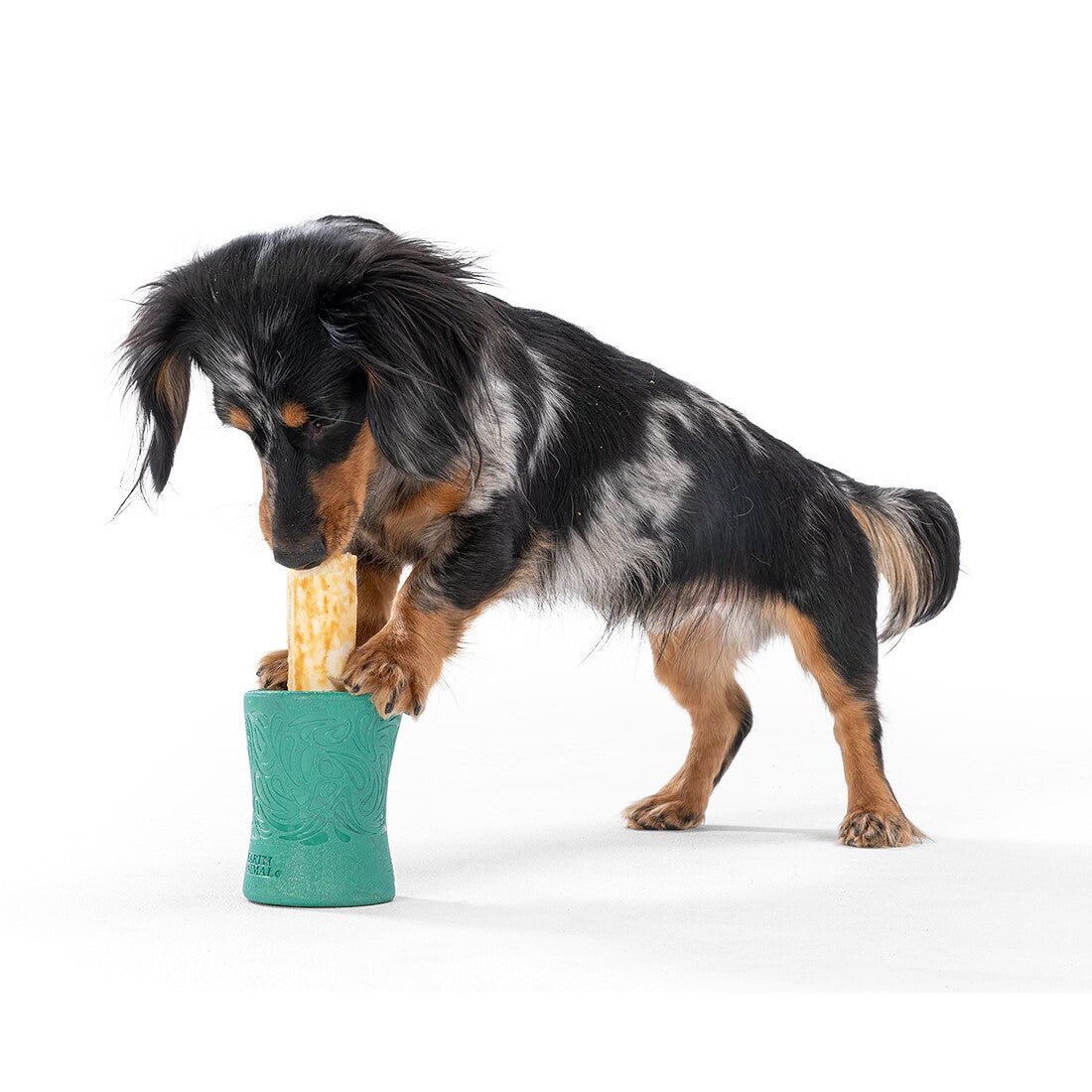 West Paw Funnl Dog Treat & Chew Hiding Toy for Moderate Chewers Treat Holder West Paw Design