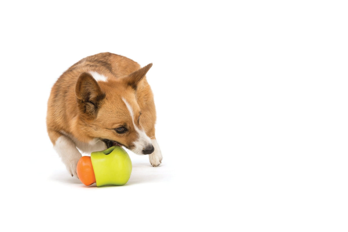 West Paw Toppl Treat Dispensing Wobbling Dog Toy & Food Bowl Dog toys West Paw Design