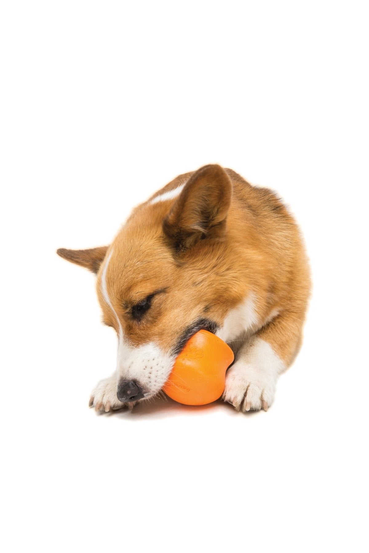 West Paw Toppl Treat Dispensing Wobbling Dog Toy & Food Bowl Dog toys West Paw Design
