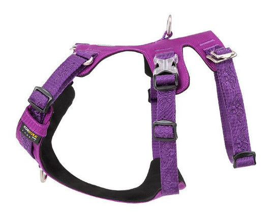 Whinhyepet Harness Purple XL Pet Care > Dog Supplies WINHYEPET