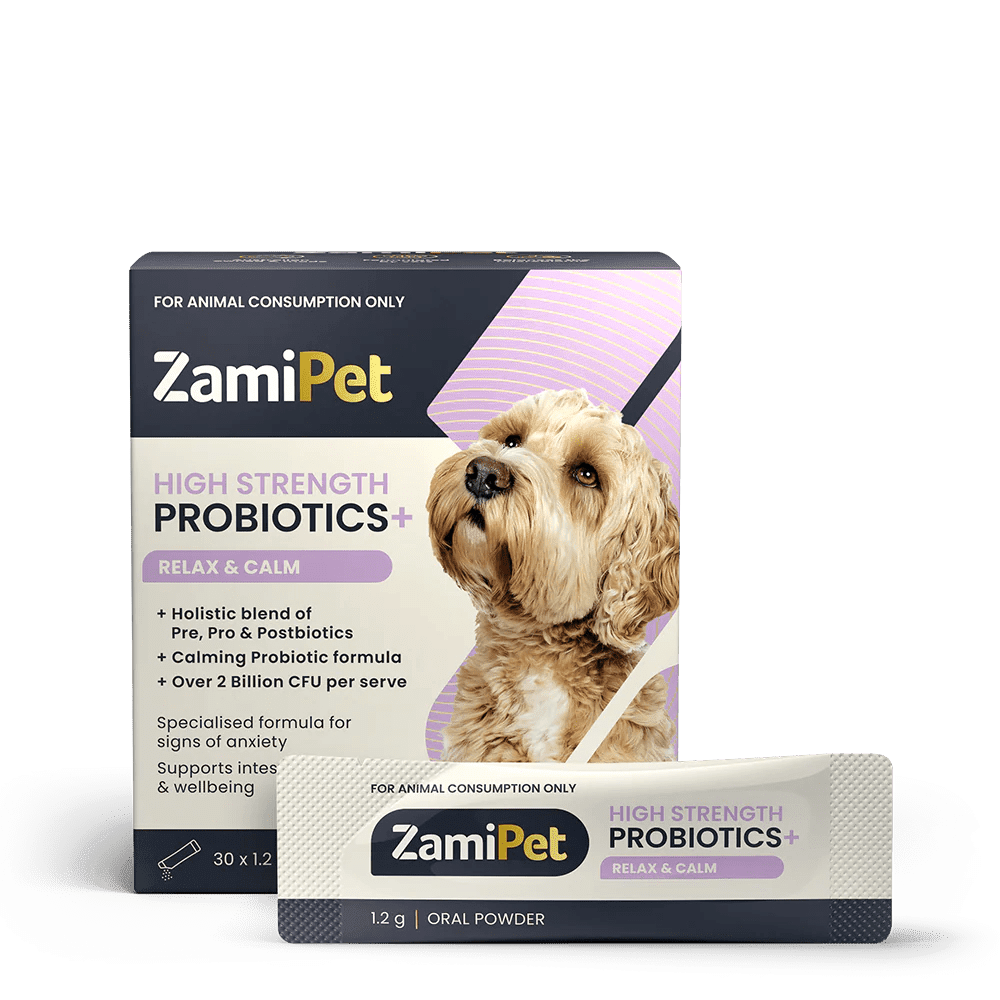ZamiPet – High Strength Probiotics+ Pet Vitamins & Supplements Zamipet ZamiPet - High Strength Probiotics+ Relax & Calm - 30 x 1.2g Oral Powder