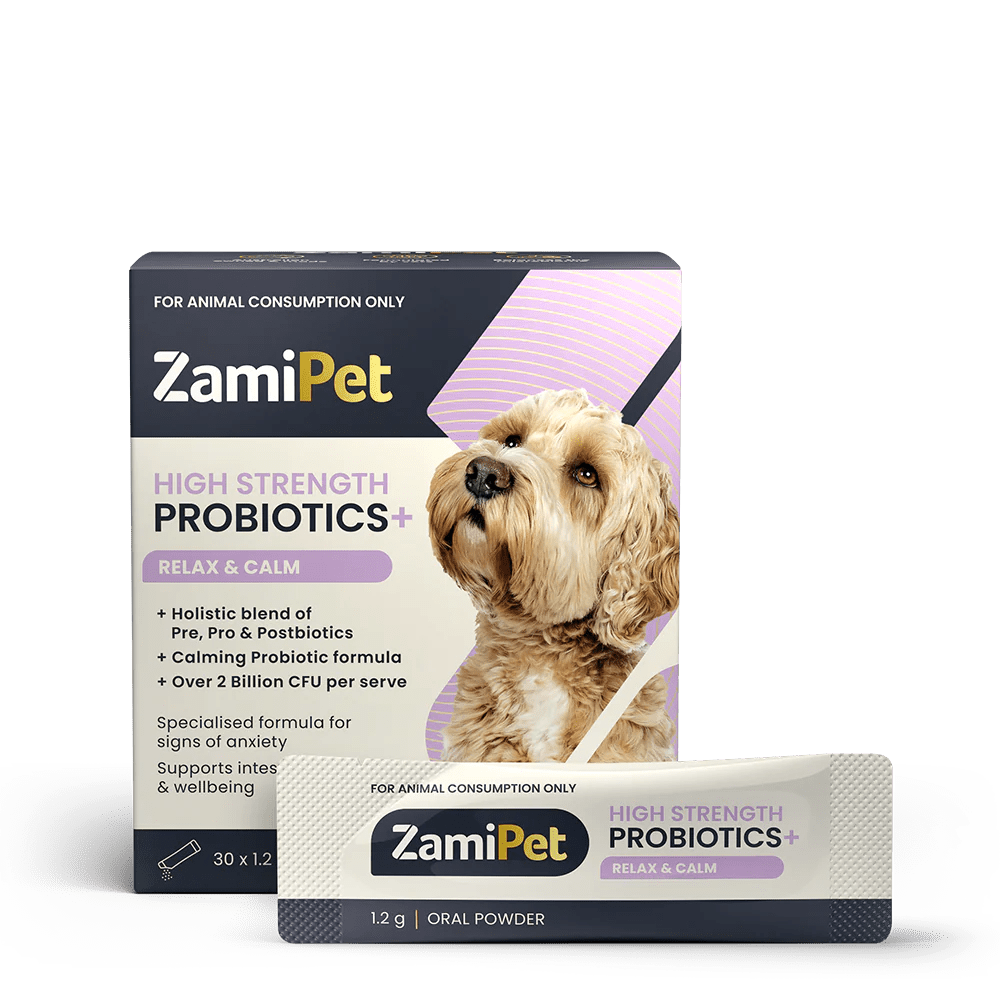 ZamiPet – High Strength Probiotics+ Pet Vitamins & Supplements Zamipet ZamiPet - High Strength Probiotics+ Relax & Calm - 30 x 1.2g Oral Powder