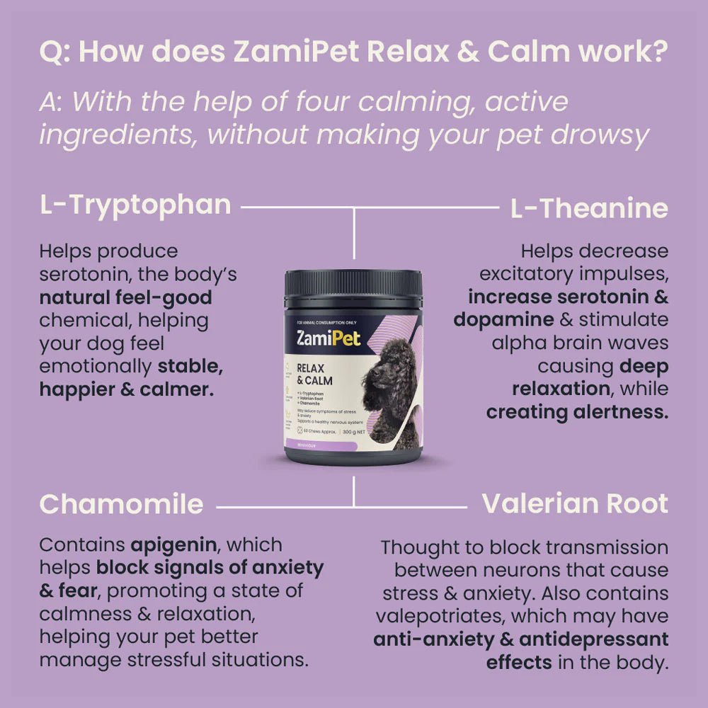 ZamiPet – Relax & Calm Woofy and Whiskers