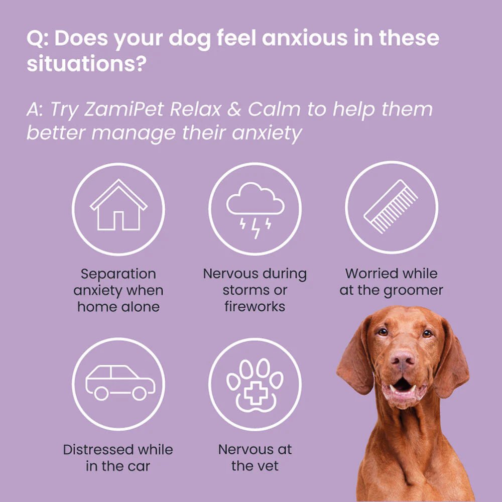 ZamiPet – Relax & Calm Woofy and Whiskers