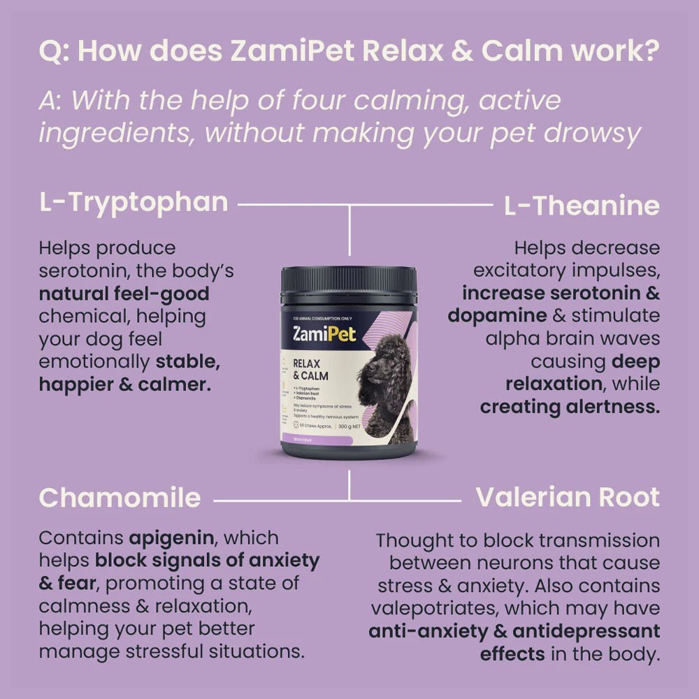 ZamiPet – Relax & Calm Woofy and Whiskers