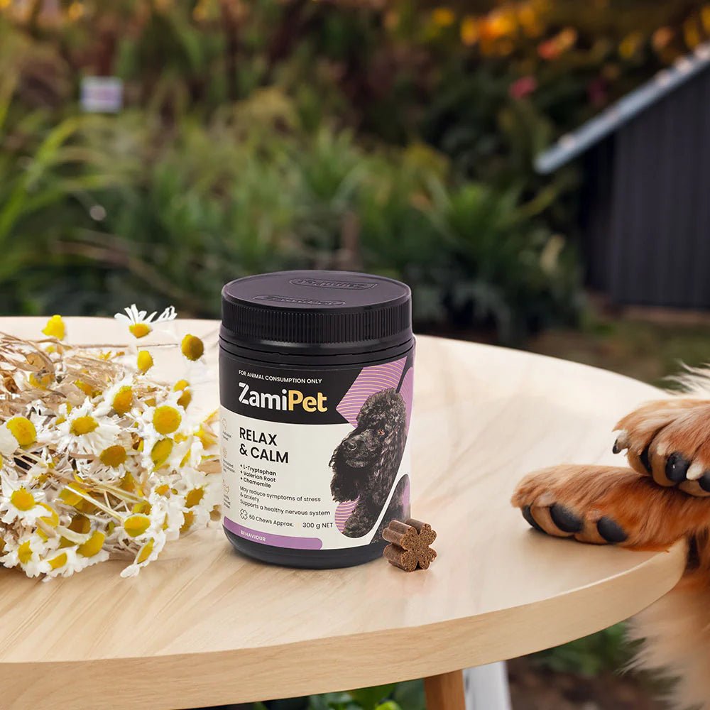 ZamiPet – Relax & Calm Woofy and Whiskers