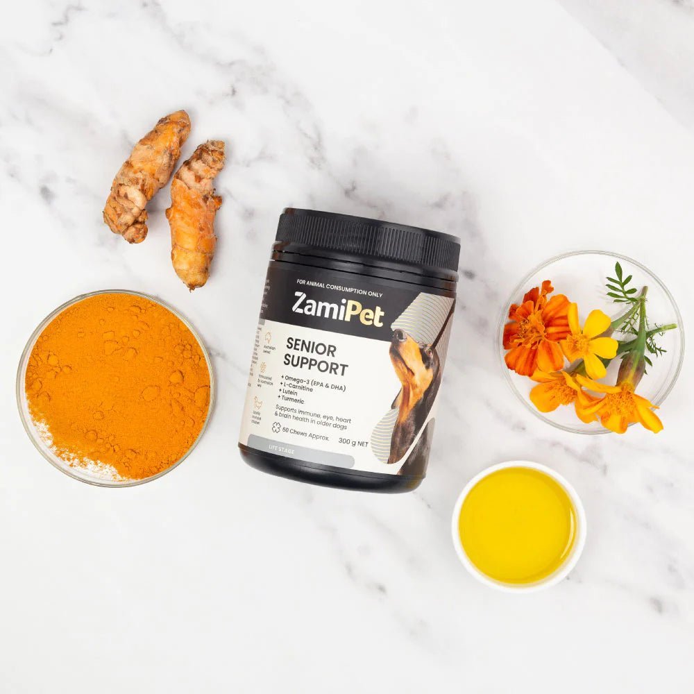 ZamiPet – Senior Support Pet Vitamins & Supplements Zamipet