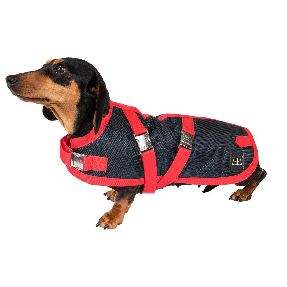 ZeeZ – Waterproof Supreme Dachshund Dog Coat – Navy Stone/Red Dog Coat ZEES 17 Navy